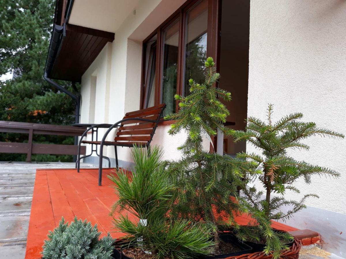 Willa Sichla Murzasichle Apartment Екстериор снимка
